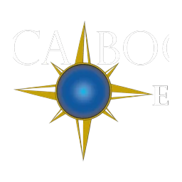 Cattaraugus-Allegany BOCES - Phlebotomy logo
